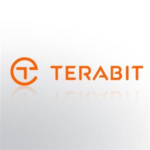 terabit / second [Tb / s]